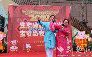 夫妻观灯黄梅戏表演唱，夫妻观灯黄梅戏表演唱歌词